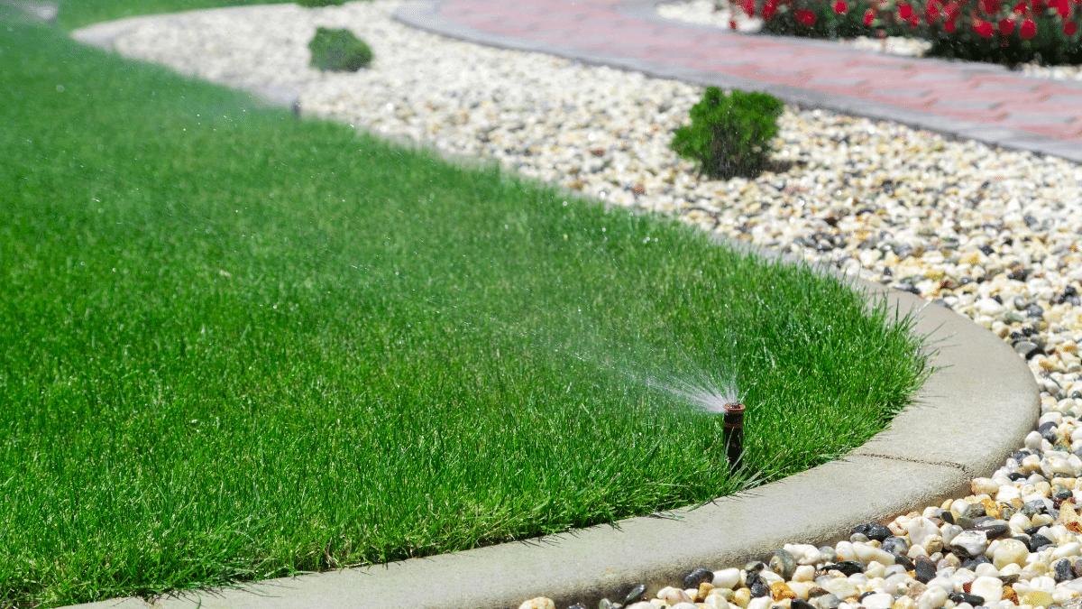 How to Prepare Your Lawn for Summer Heat in DFW